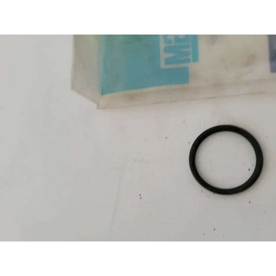 Genuine General Motors Part GM Part # 5685234 O RING - 2 in pkg - vintage gm replacement auto part GM A+ Stuff Gaskets & O-Rings