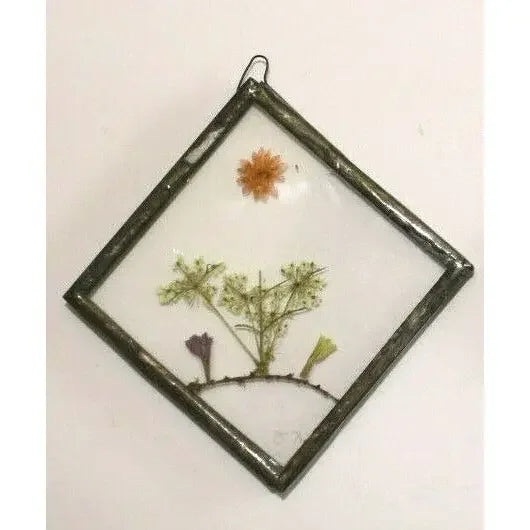 Pressed flower art in square glass frame, botanical wall decor, preserved floral display