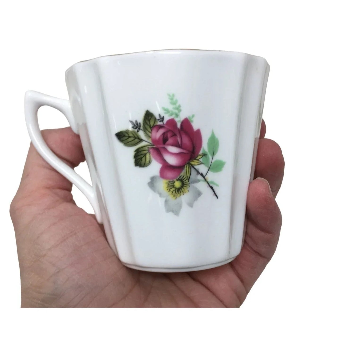 Royal Dover Teacup and Saucer Set large Dark Red Rose w Foliage Pattern Ribs on Cup Royal Dover A+ Stuff