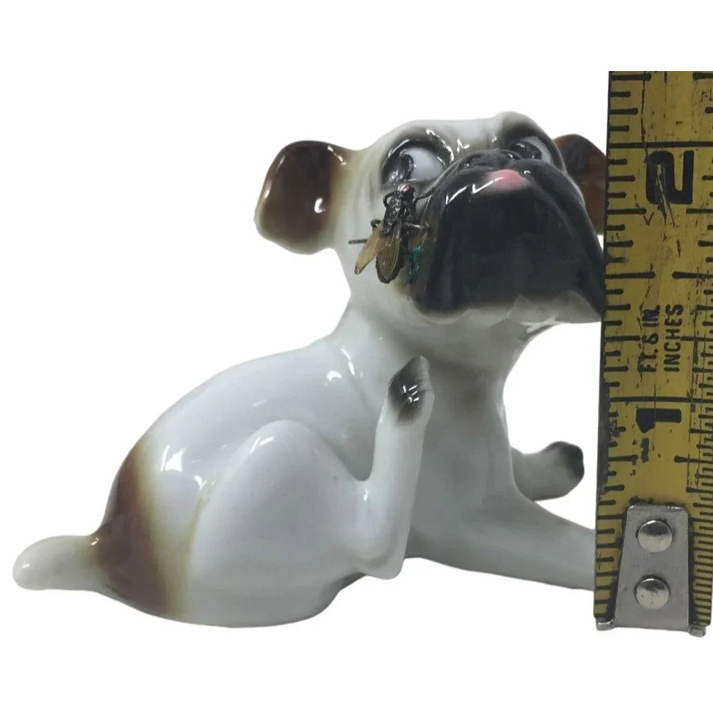 Cute vintage Puppy Scratching a Fly on his nose / muzzle - Great retro look! A+ Stuff A+ Stuff