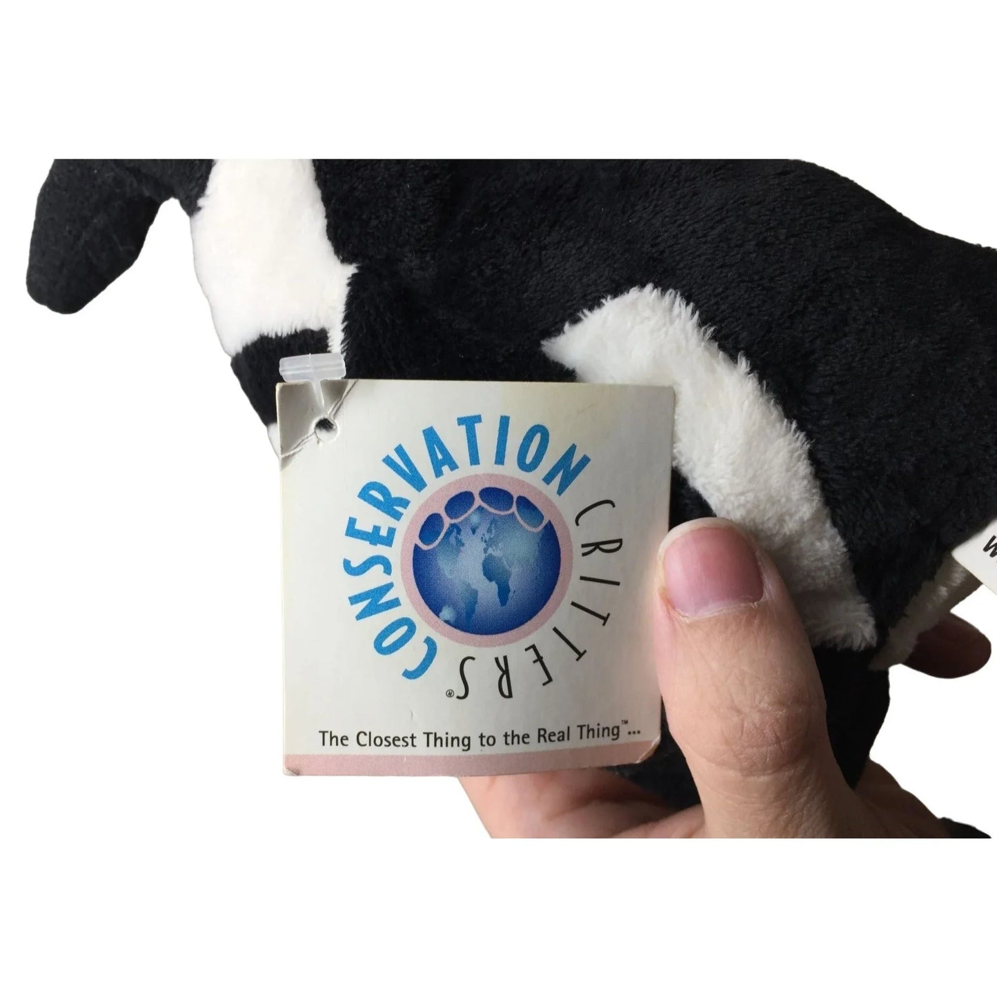 Conservation Critters Black Footed African Penguin Plush Stuffed Animal - Nature, Realistic Animal Toy Conservation Critters A+ Stuff