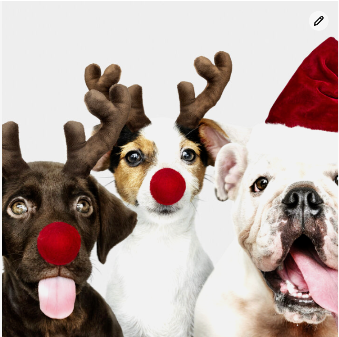 The Most Wonderful Time of the Year!