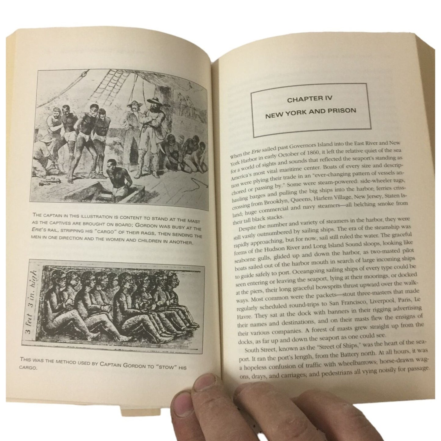 Hanging Captain Gordon: The Life and Trial of an American Slave Trader by Ron Soodalter