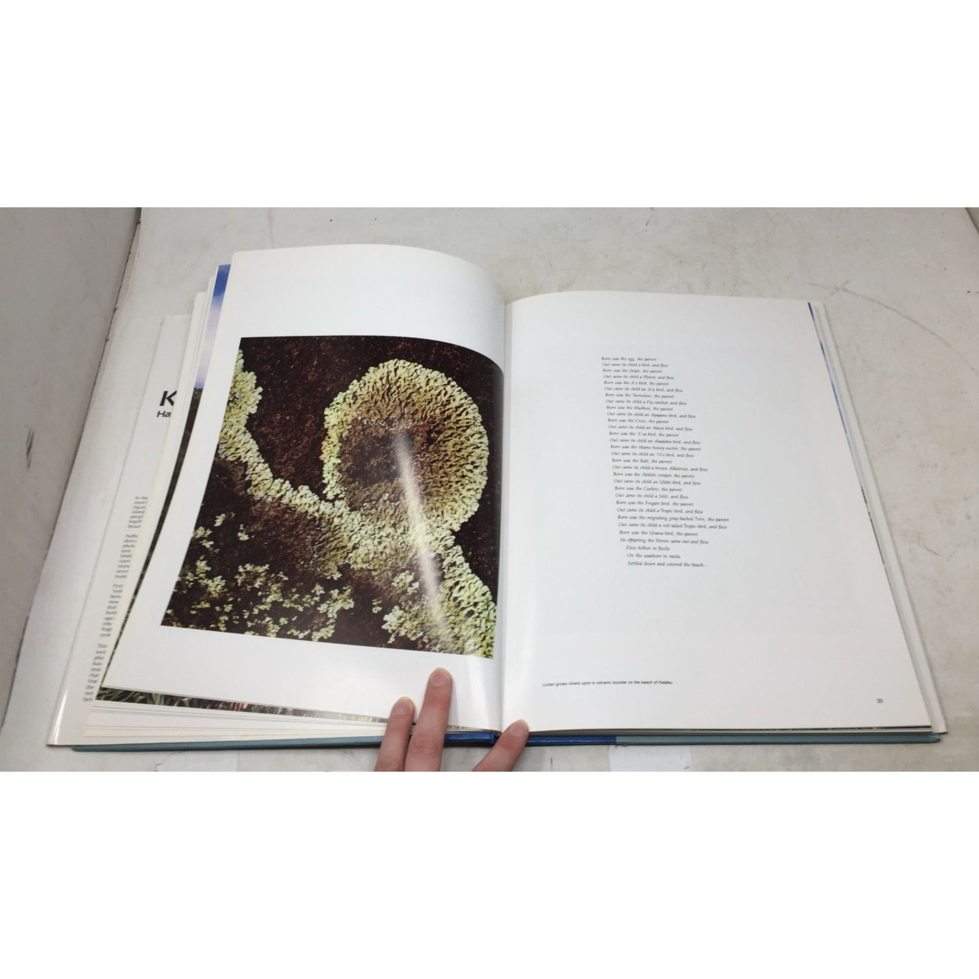 Hardcover Photography Book Titled "Kauai: Hawaii's Garden Island" A+ Stuff  A+ Stuff Books