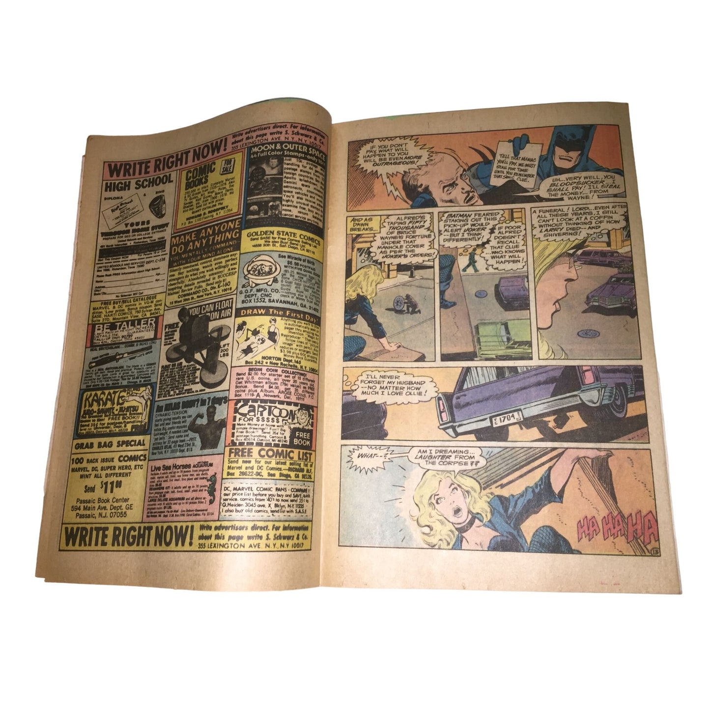 The Brave and the Bold DC Comics Batman & Black Canary Comic Book