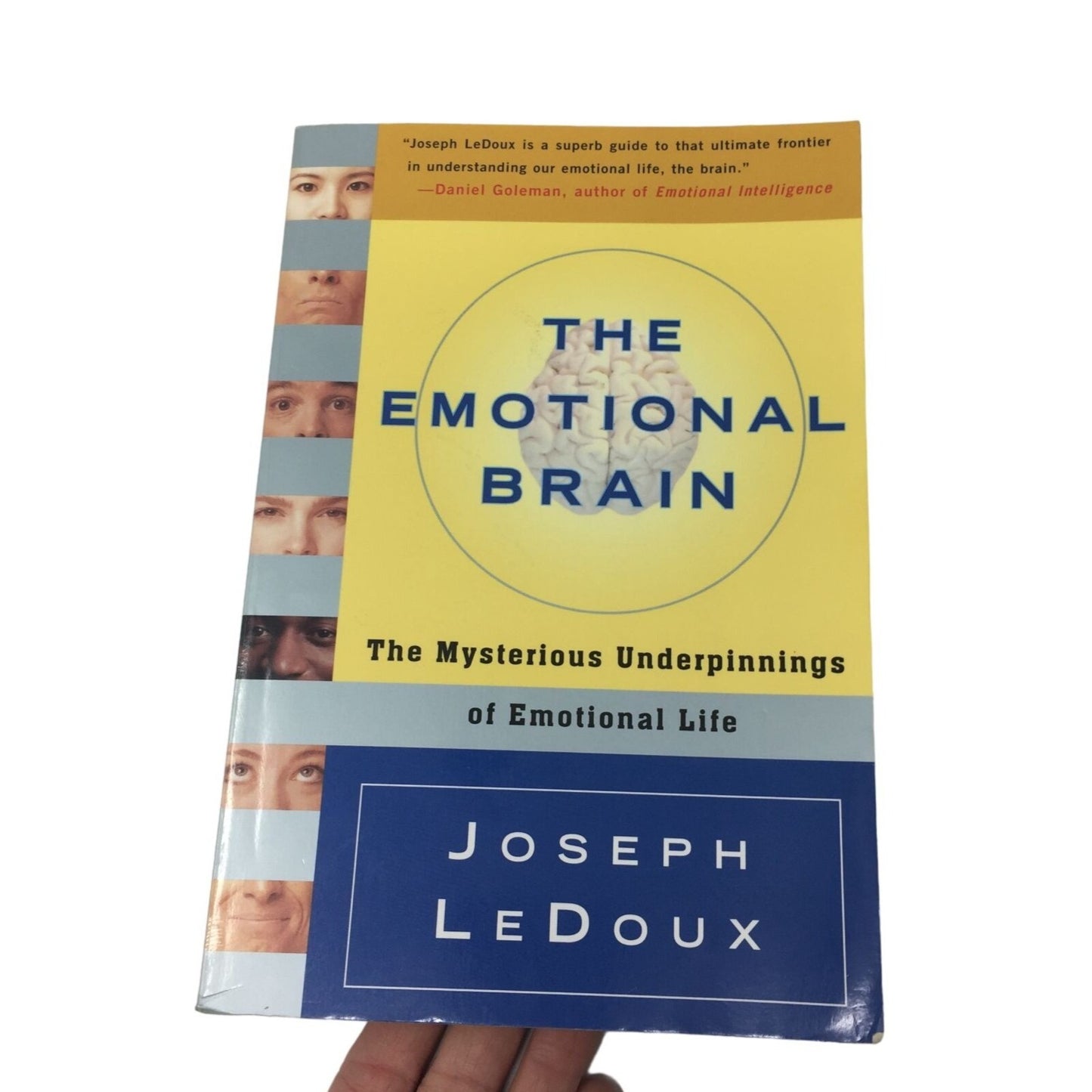 The Emotional Brain - by Joseph LeDoux (Paperback)