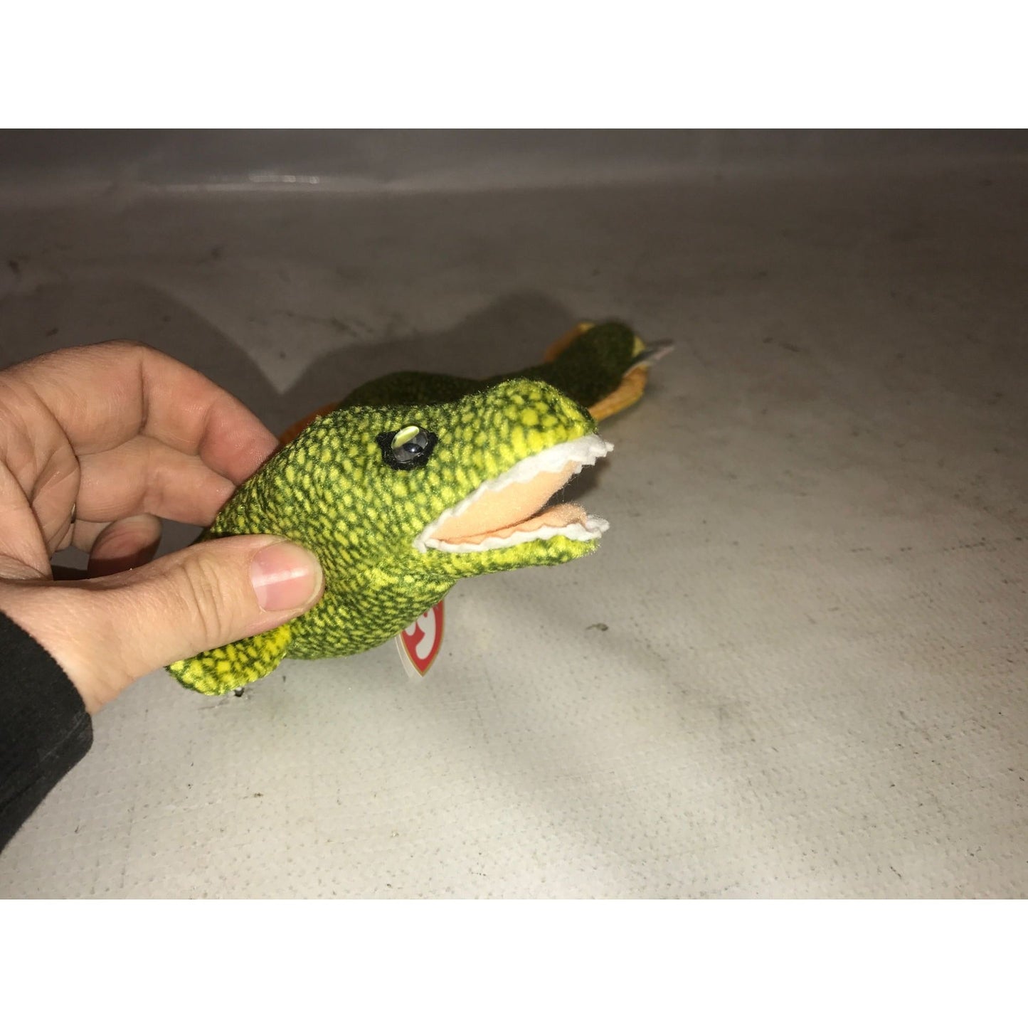 Morrie the Eel Beanie Baby TY Beanie Baby  A+ Stuff Plush Toys / Stuffed Animals