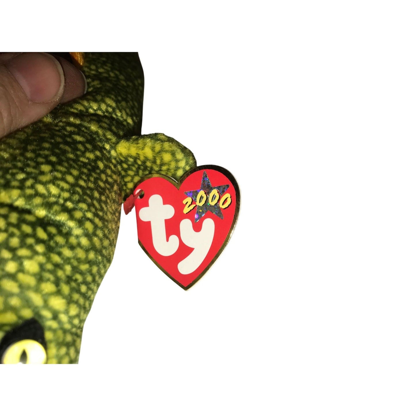 Morrie the Eel Beanie Baby TY Beanie Baby  A+ Stuff Plush Toys / Stuffed Animals