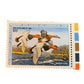 Vintage Collectible Migratory Bird Hunting & Conservation Stamps