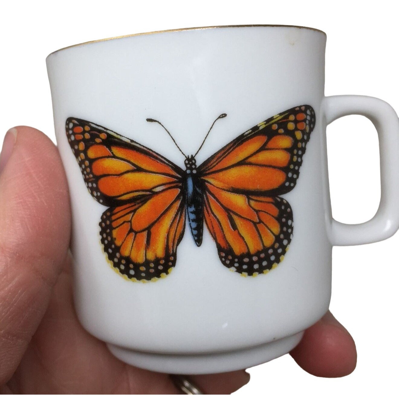 Teacup and Saucer Set with Butterflies Printed on Both