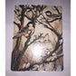 Vintage Rectangular 4 by 3 inch Magnet- Cat Looking at Birds in A Tree