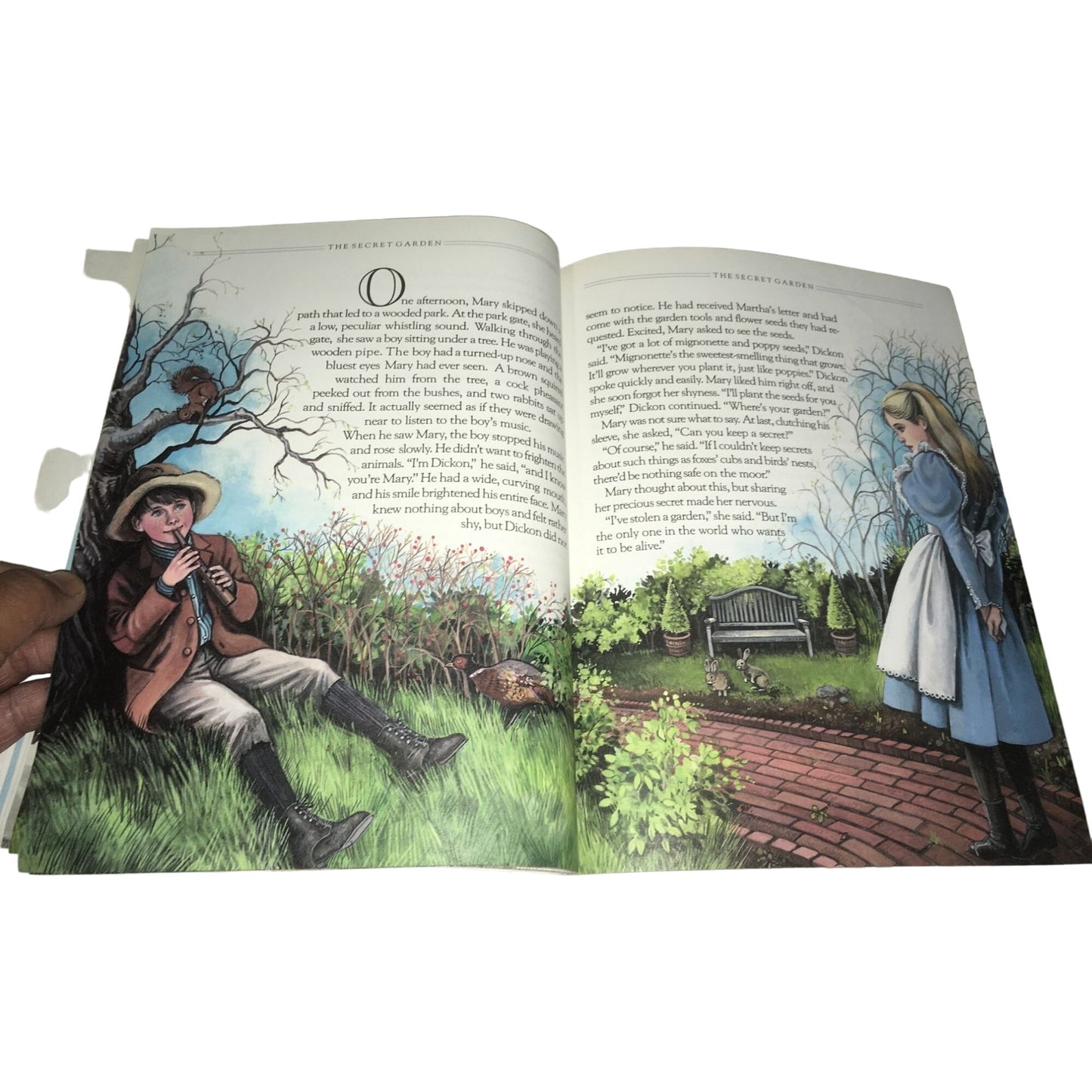 The Secret Garden By Frances Durnett- Troll Illustrated Classics Book