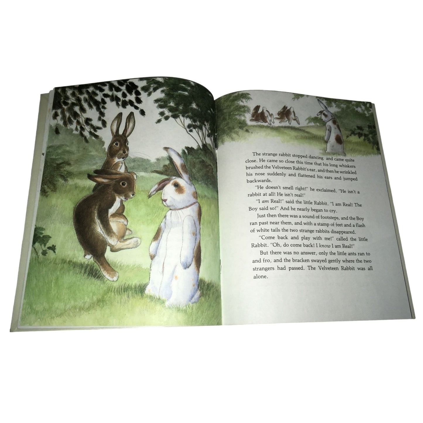 The Velveteen Rabbit By: Margery Williams Book