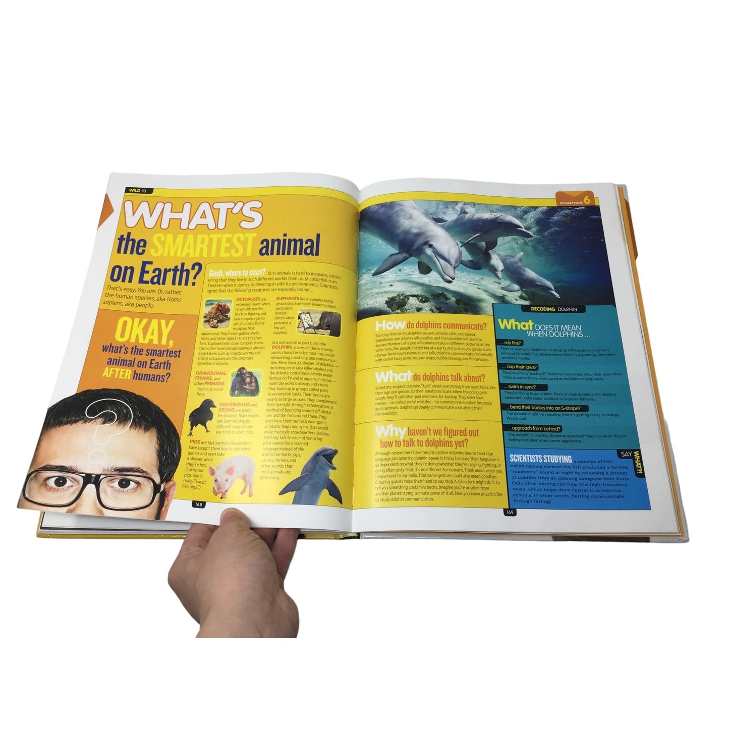 WHY? Over 1,111 Answers to Everything National Geographic Kids Book by Crispin Boyer