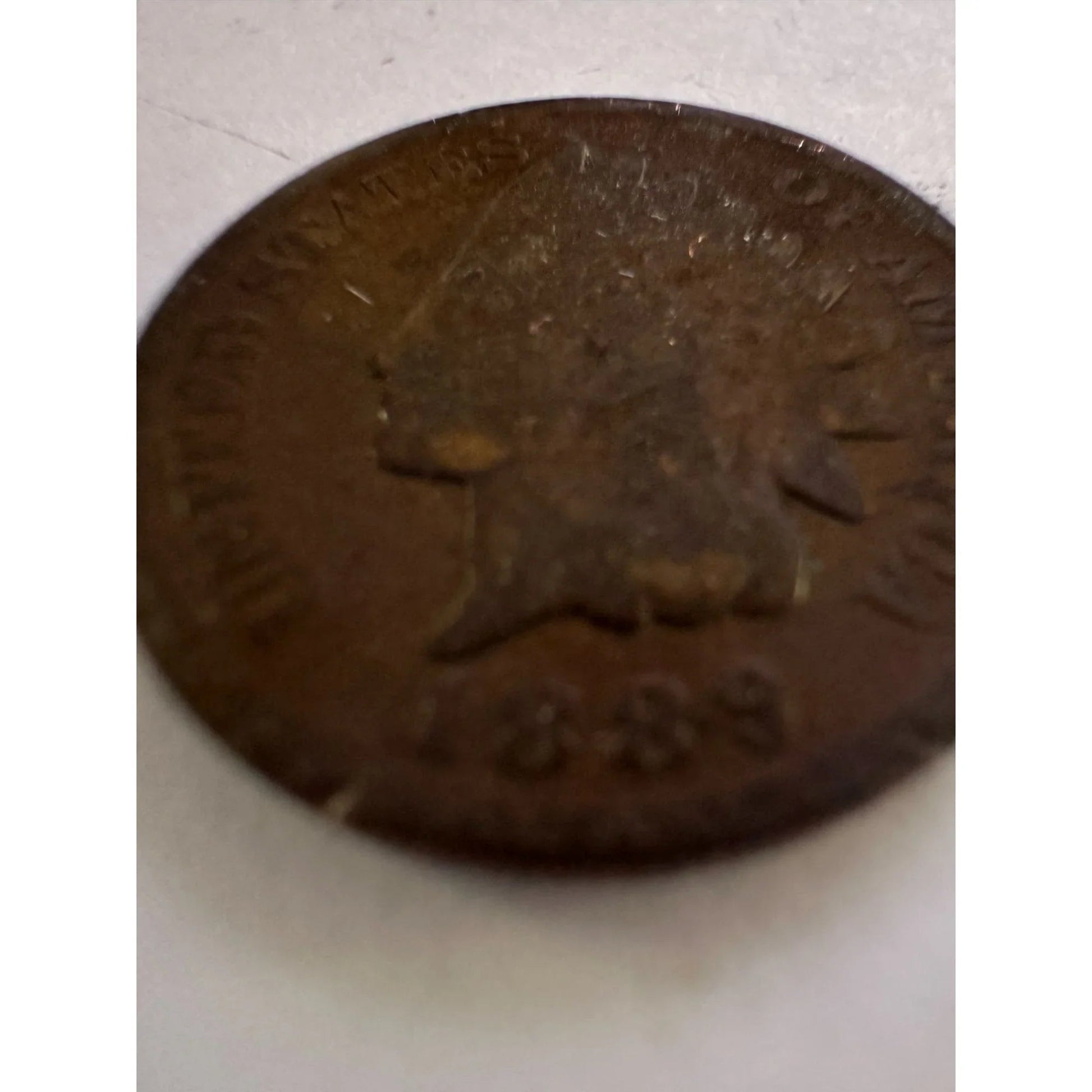 1889 United States of America Indian Head Small Cent Collectible Coin - A+ Stuff - Collectible Coins & Currency - A+ Stuff