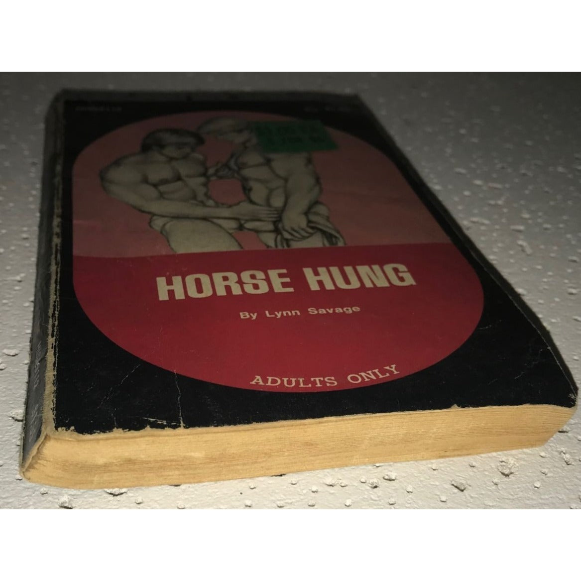 Vintage 1974 Horse Hung by Lynn Savage Adults Only Paperback Book