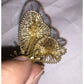 Womens Small 2" Gold Tone Butterfly Pin with White Faux Pearl in the Middle