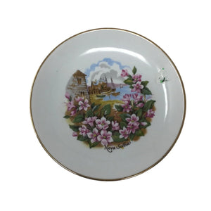 Vintage Porcelain Nova Scotia Seaside Pink Flower Scene Collector Souvenir Plate