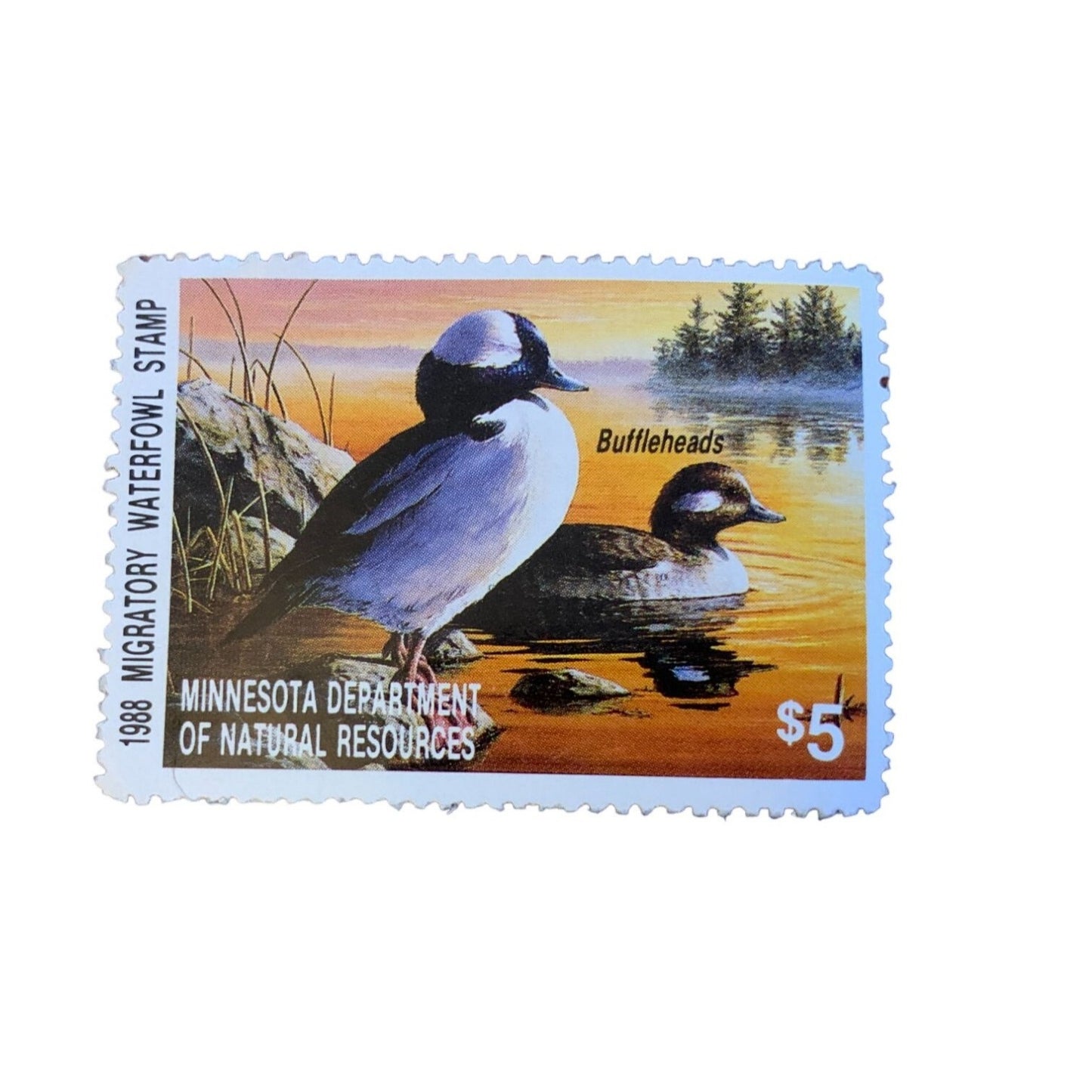 Vintage Collectible Migratory Bird Hunting & Conservation Stamps