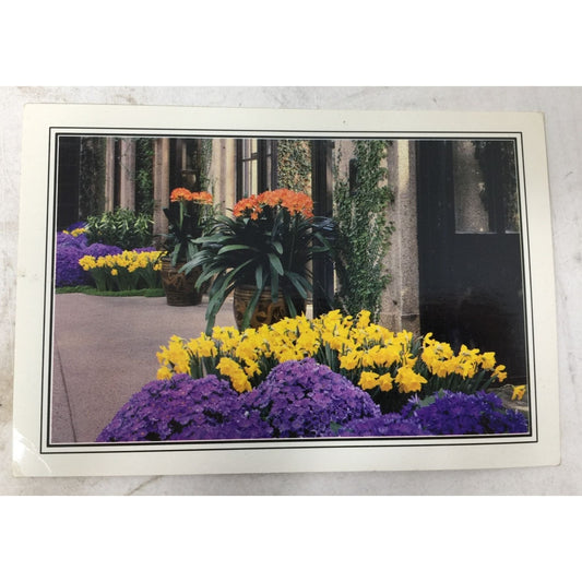 Longwood Gardens (A bright color combo in the Main Conservatory) Post card