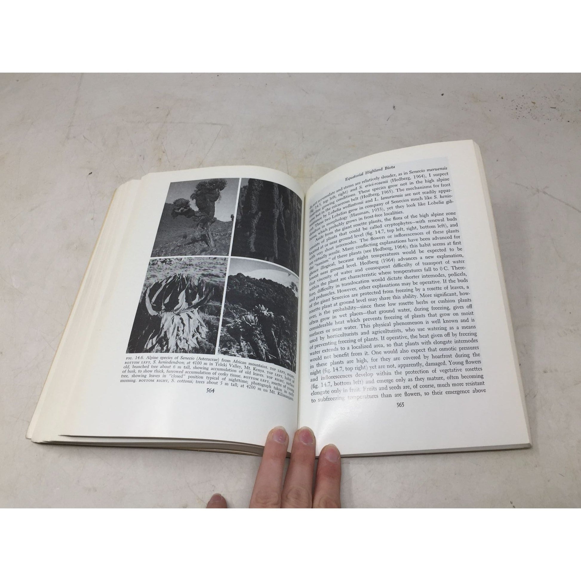 collectible book titled Island Biology by Sherwin Carlquist unbranded  A+ Stuff Books