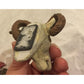 Vintage Ram Animal Head Refrigerator Magnet