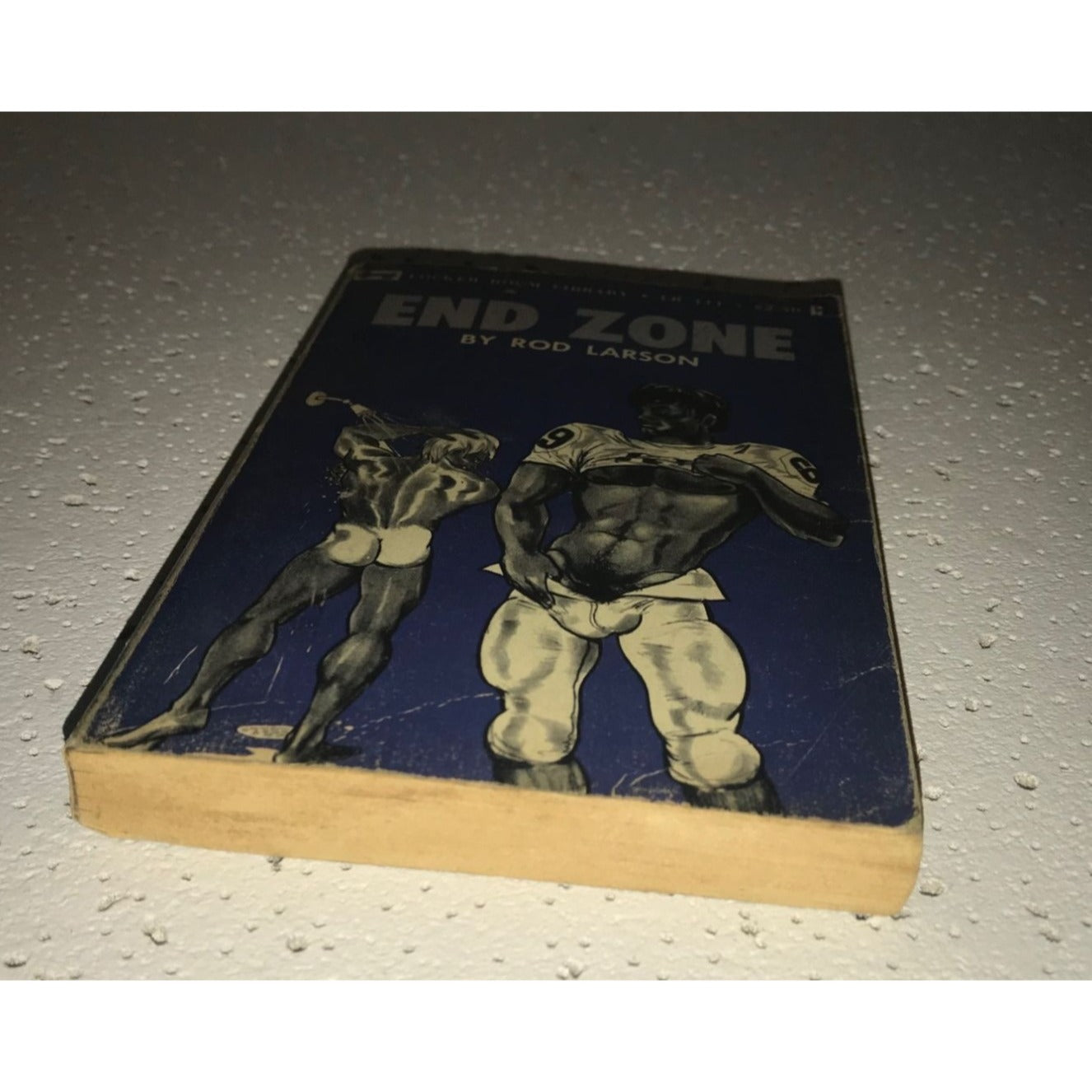 Vintage Locker Room Library End Zone by Rod Larson Paperback Book