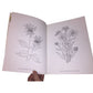 American Wildflowers Coloring Book by Paul Kennedy Dover Coloring Book