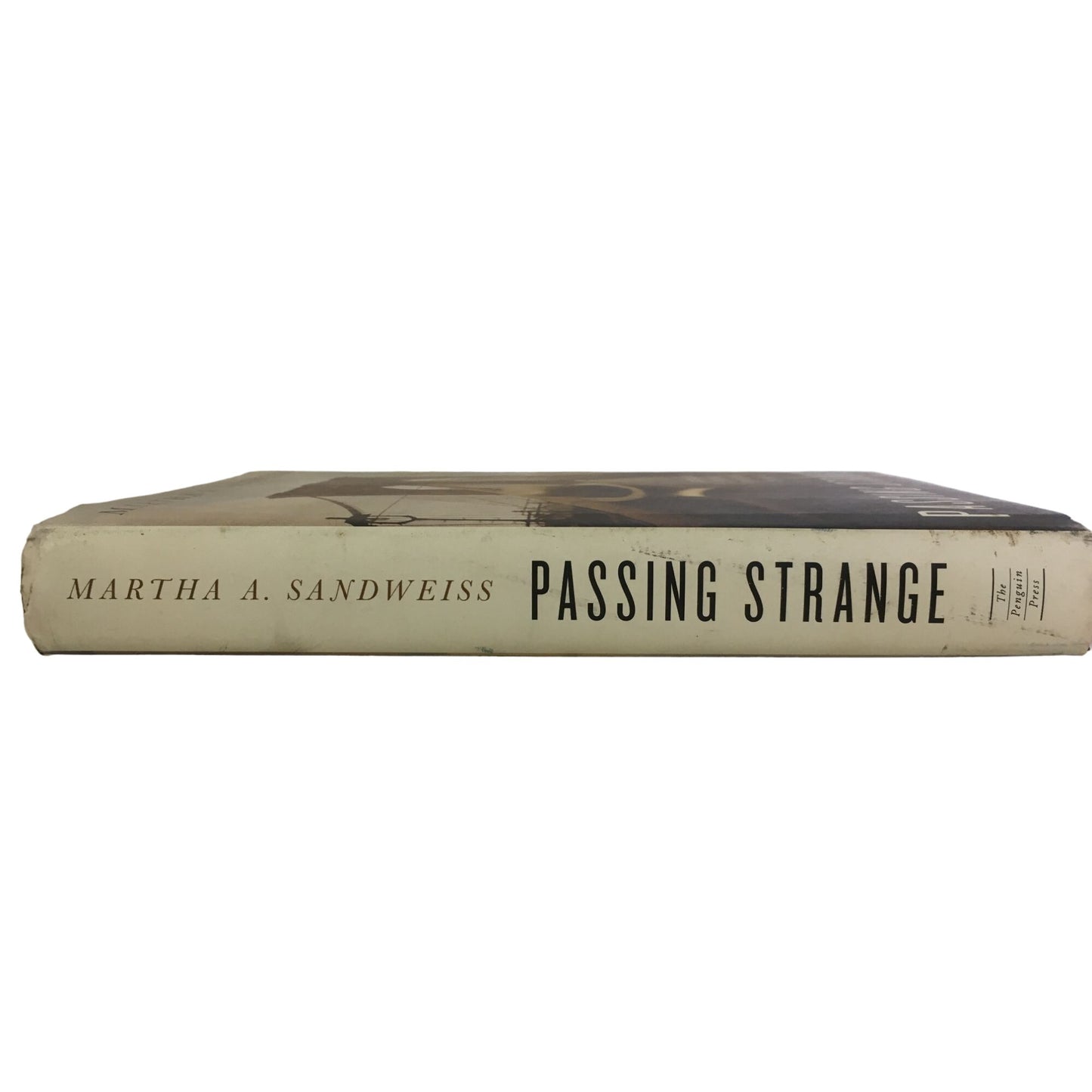 Passing Strange: A Gilded Age Tale of Love and Deception Across the Color Line Book