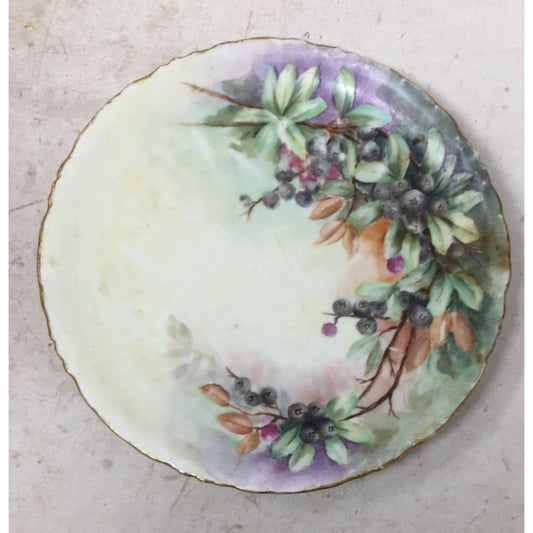 Bavaria 8" Hand Painted Plate with Berries and Flowers on it