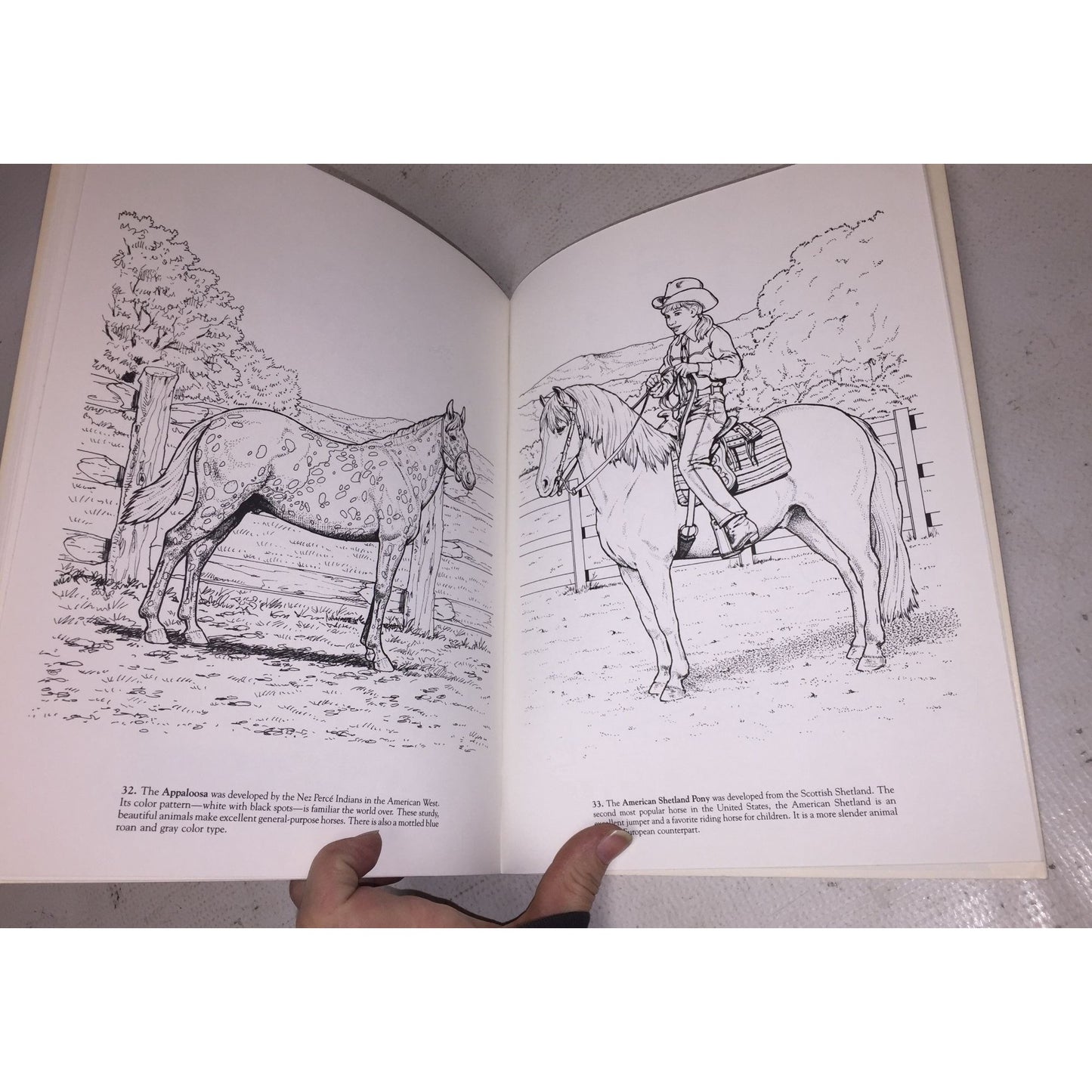 Horses of the World Coloring Book by John Green Dover Coloring Book