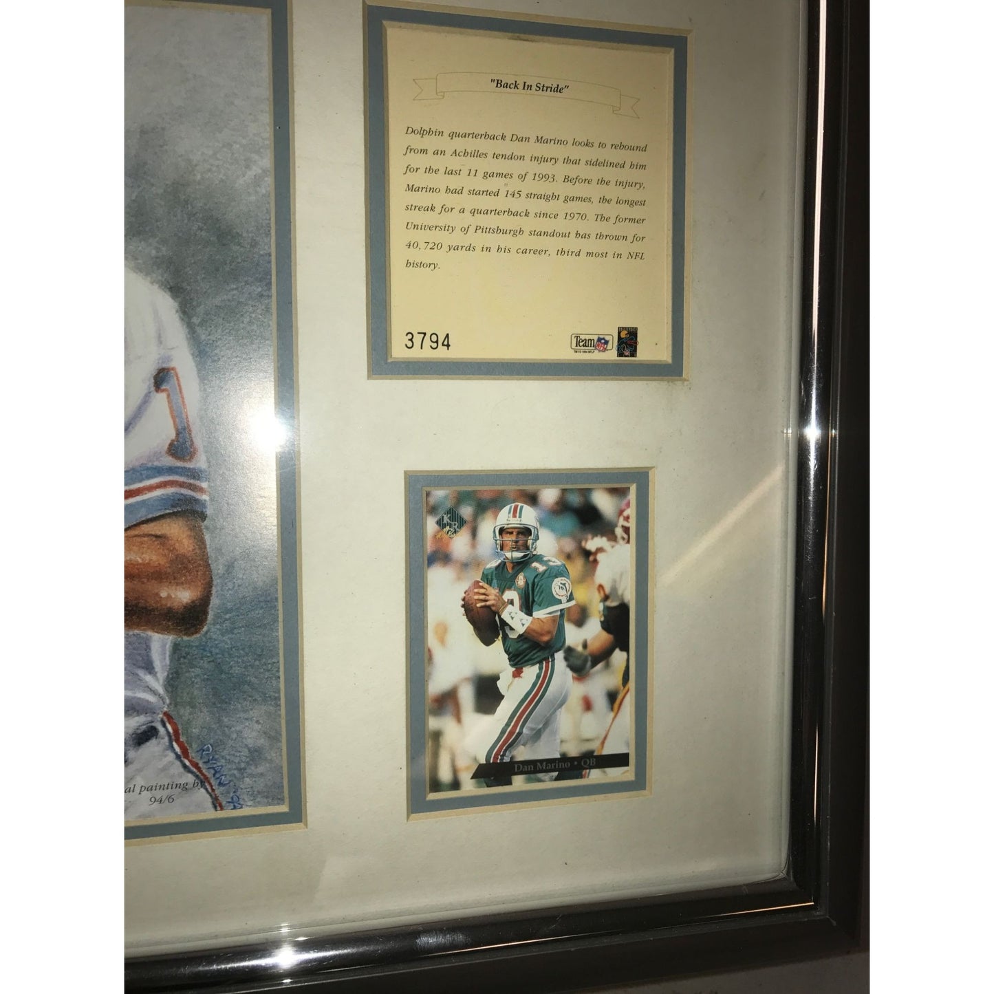 Dan Marino - BACK IN STRIDE - Team NFL Collectible collage limited edition