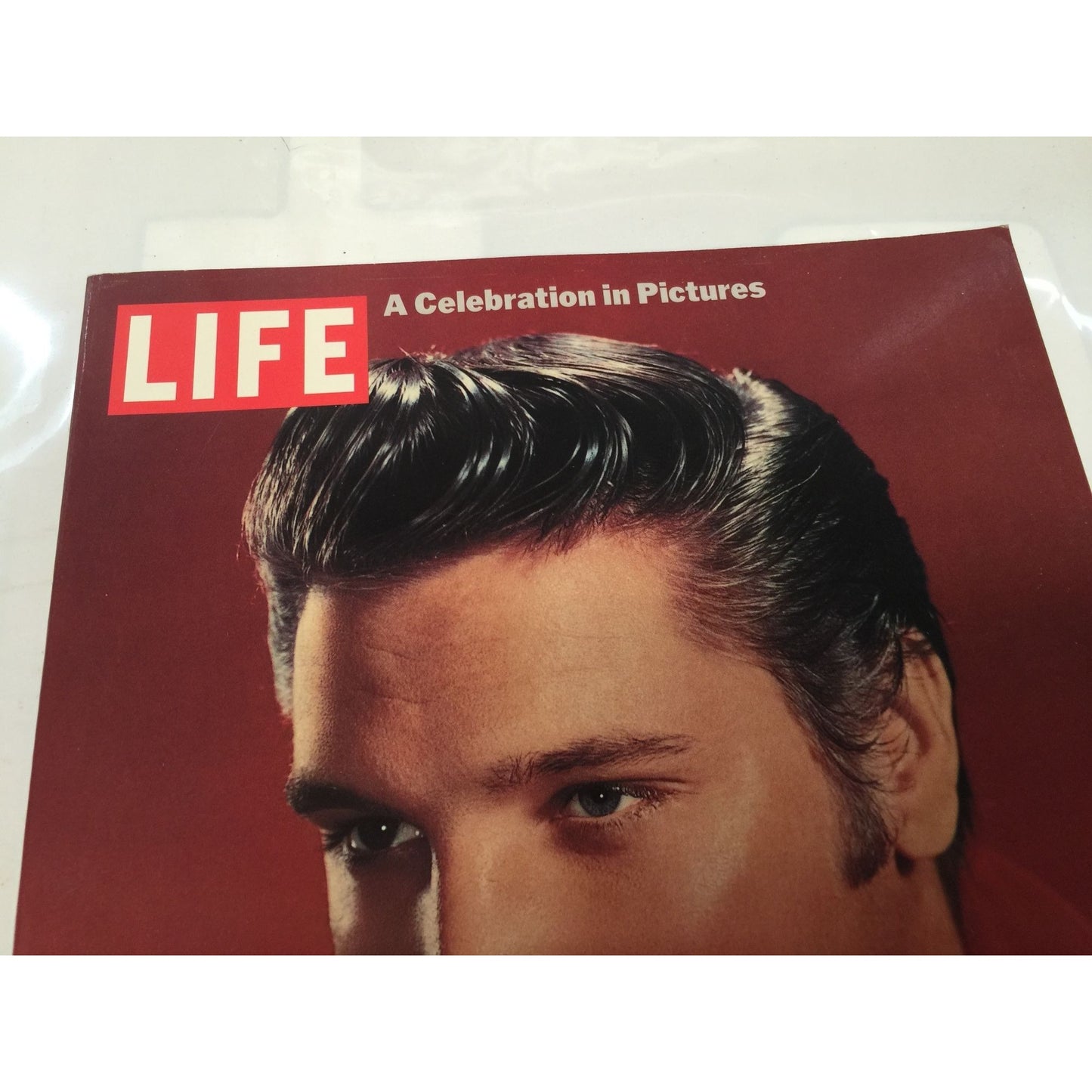 Vintage LIFE Magazine A Celebration in Pictures-Charles Hirshberg & The Editors of Life