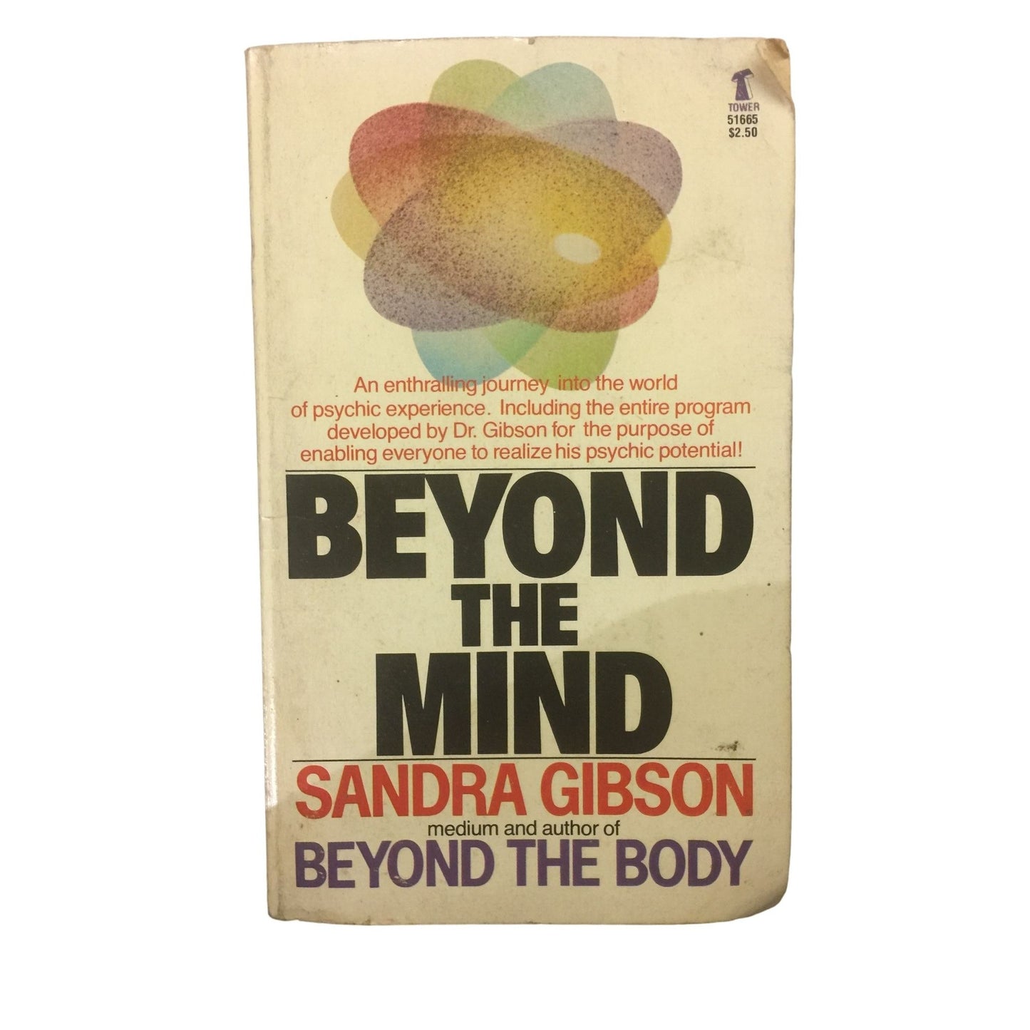 Beyond The Mind by Sandra Gibson Paperback book