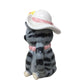 Fun Novelty Cat Pitcher / Pourer - Cute Gray Cartoonish Tabby Cat with White Sunhat and Pink Necklace