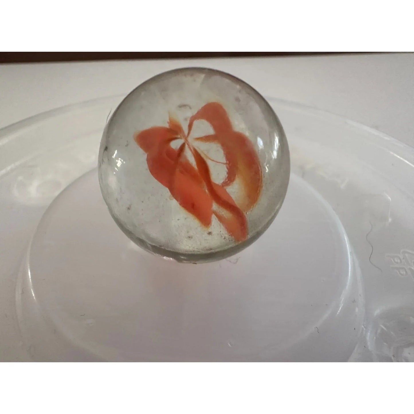 5 Vintage Clear Shiny Large Glass Shooter Marbles - A+ Stuff - Collectibles - A+ Stuff