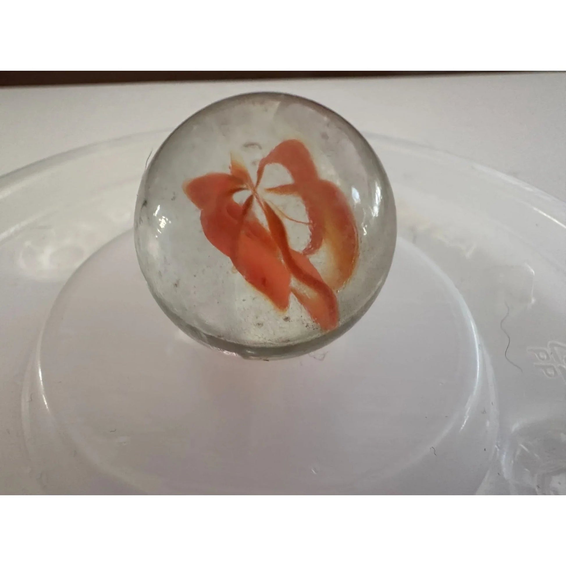 5 Vintage Clear Shiny Large Glass Shooter Marbles - A+ Stuff - Collectibles - A+ Stuff