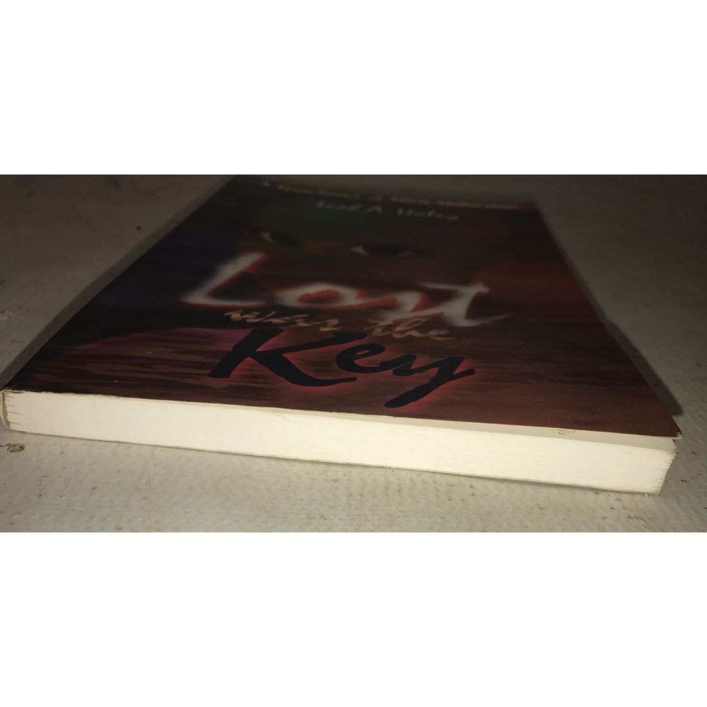 Lost with The Key Book By Leah A Haley - a true story of alien abduction