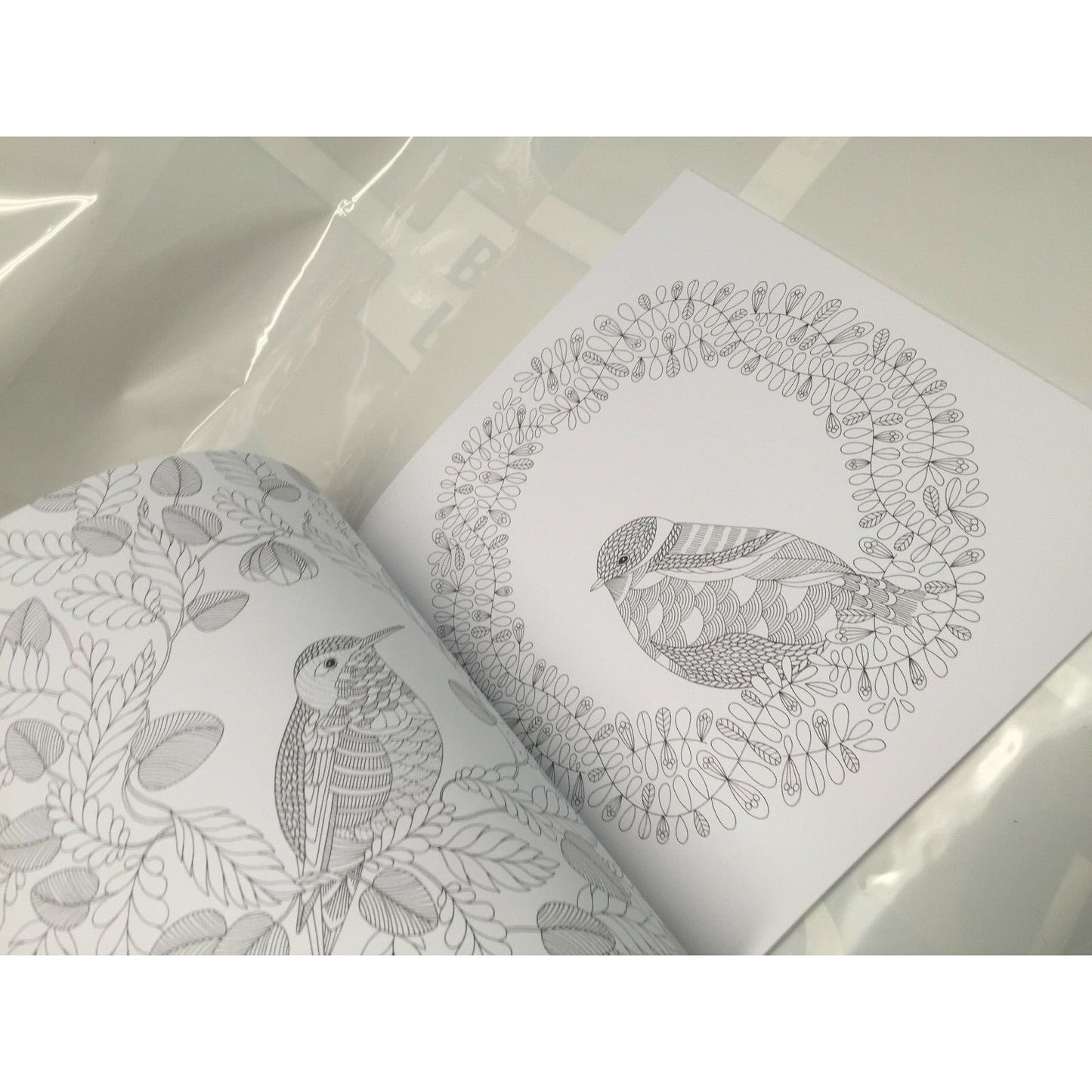 ANIMAL KINGDOM COLOR ME DRAW ME ADULT COLORING BOOK- MILLIE MAROTTA