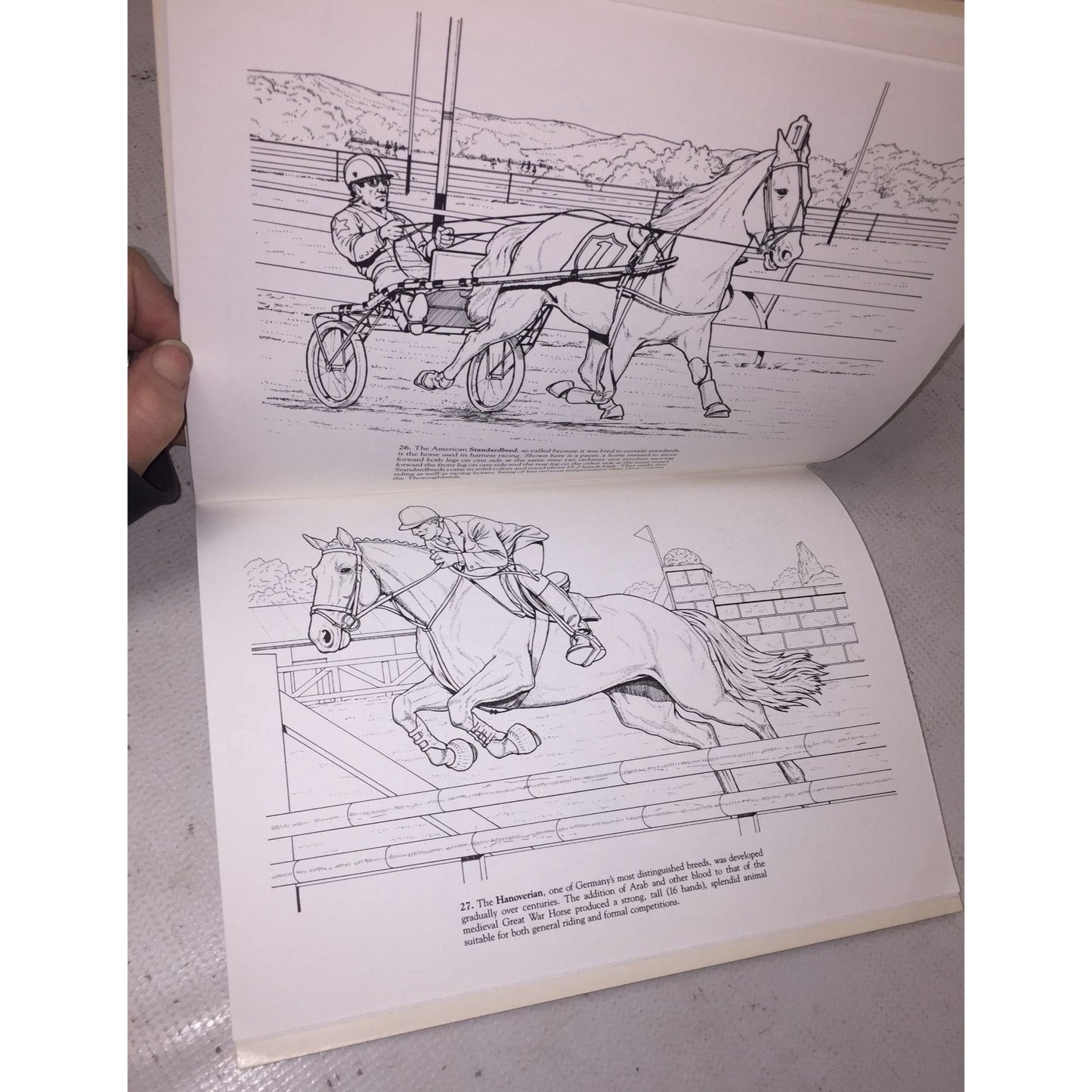 Horses of the World Coloring Book by John Green Dover Coloring Book