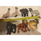 Set of 7 Vintage Zoo/Wild Animal Magnets- Giraffes, Elephant, Gorilla/Ape, Camel, Zebra, Lion - A+ Stuff