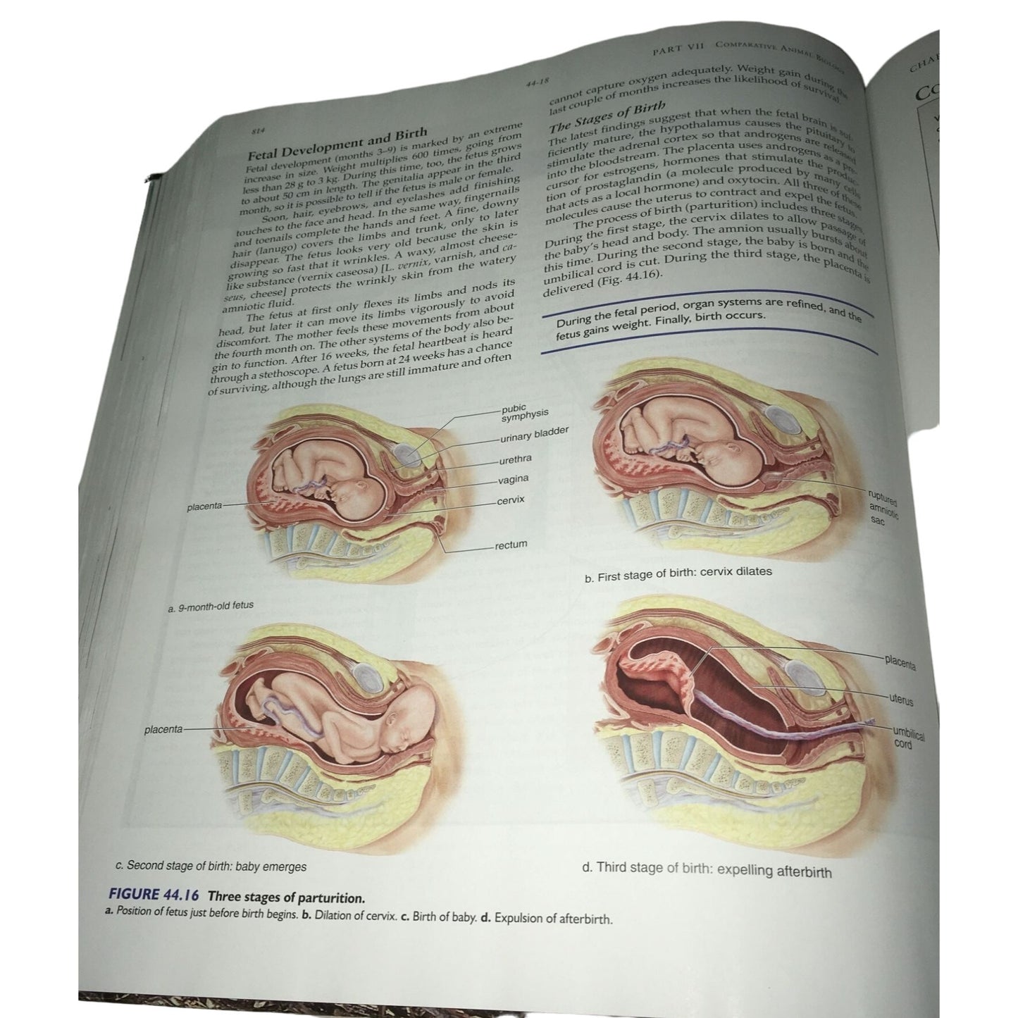 Biology 9th Edition Hardcover Textbook by Sylvia S. Mader