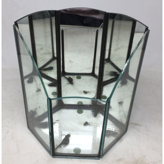 Vintage 1970's Terrarium Mirrored/Glass Oblong Hexagon Arched Planter/Display