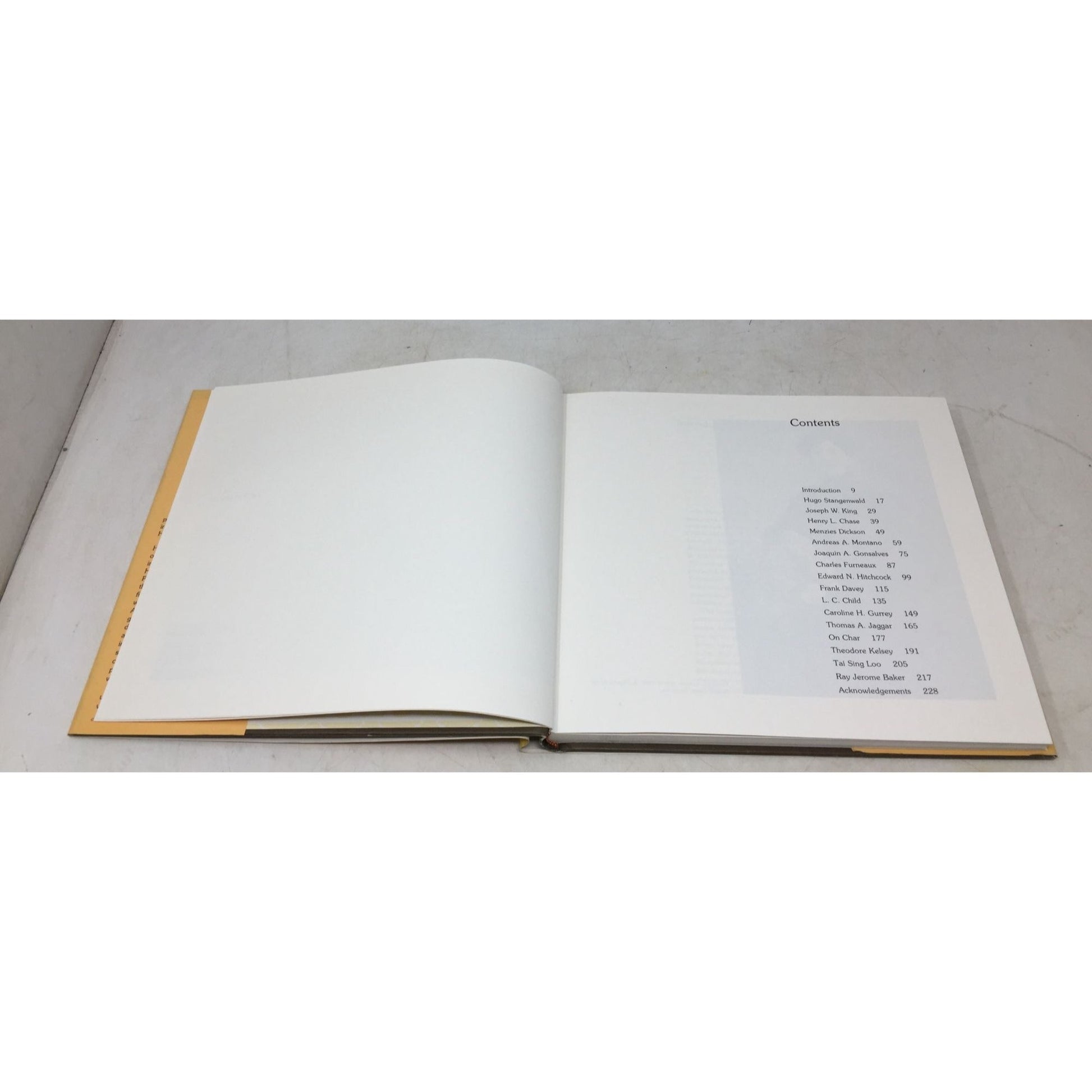 "Photographers of Old Hawaii" by Joan Abramson unbranded  A+ Stuff Books