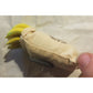 Vintage Sack of Bananas Small 3" Refrigerator Magnet