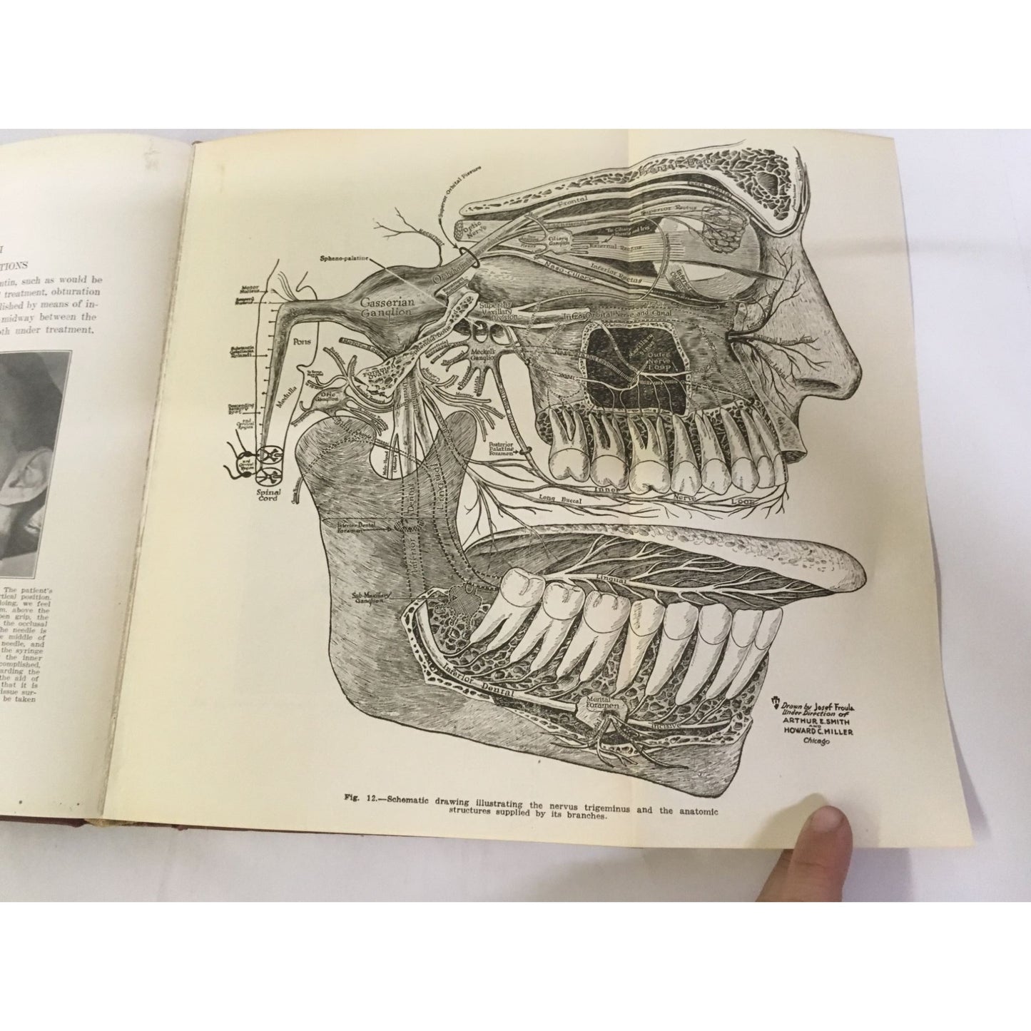 A Textbook of Exodontia - Exodontia, Oral Surgery and Anesthesia Textbook