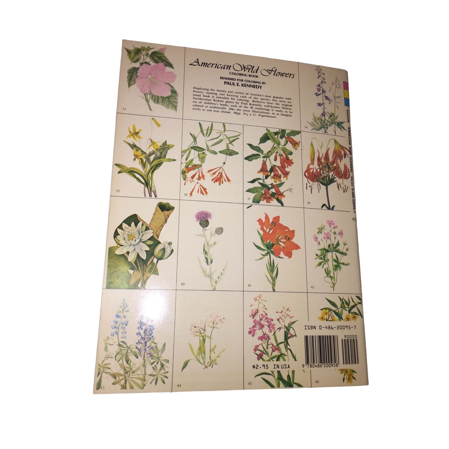 American Wildflowers Coloring Book by Paul Kennedy Dover Coloring Book