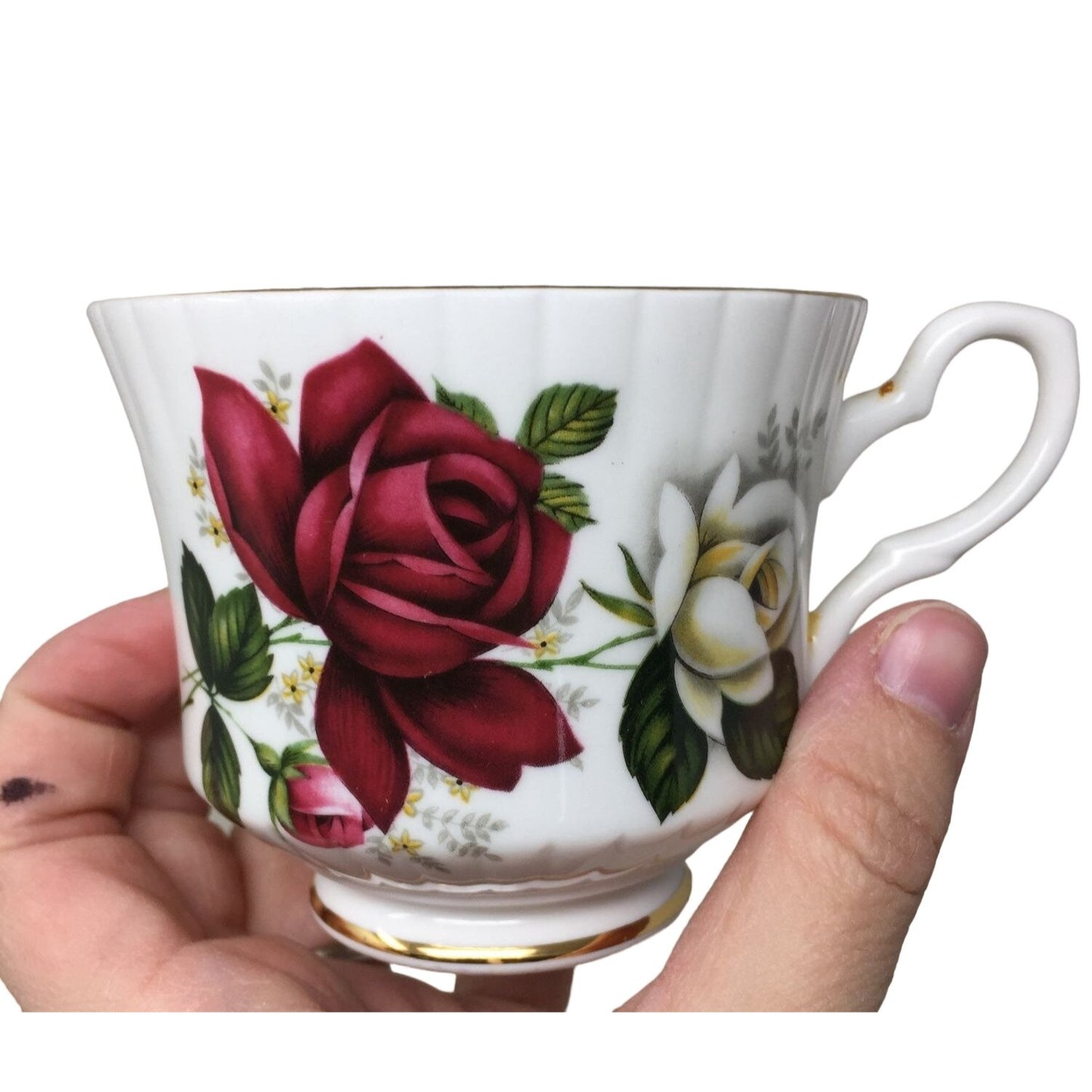 Royal Stafford Bone China Tea Cup and Saucer Set Gold Rimmed with Roses Printed on Each