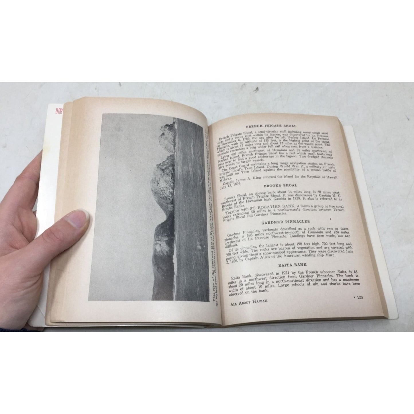 "All About Hawaii" Paperback Book