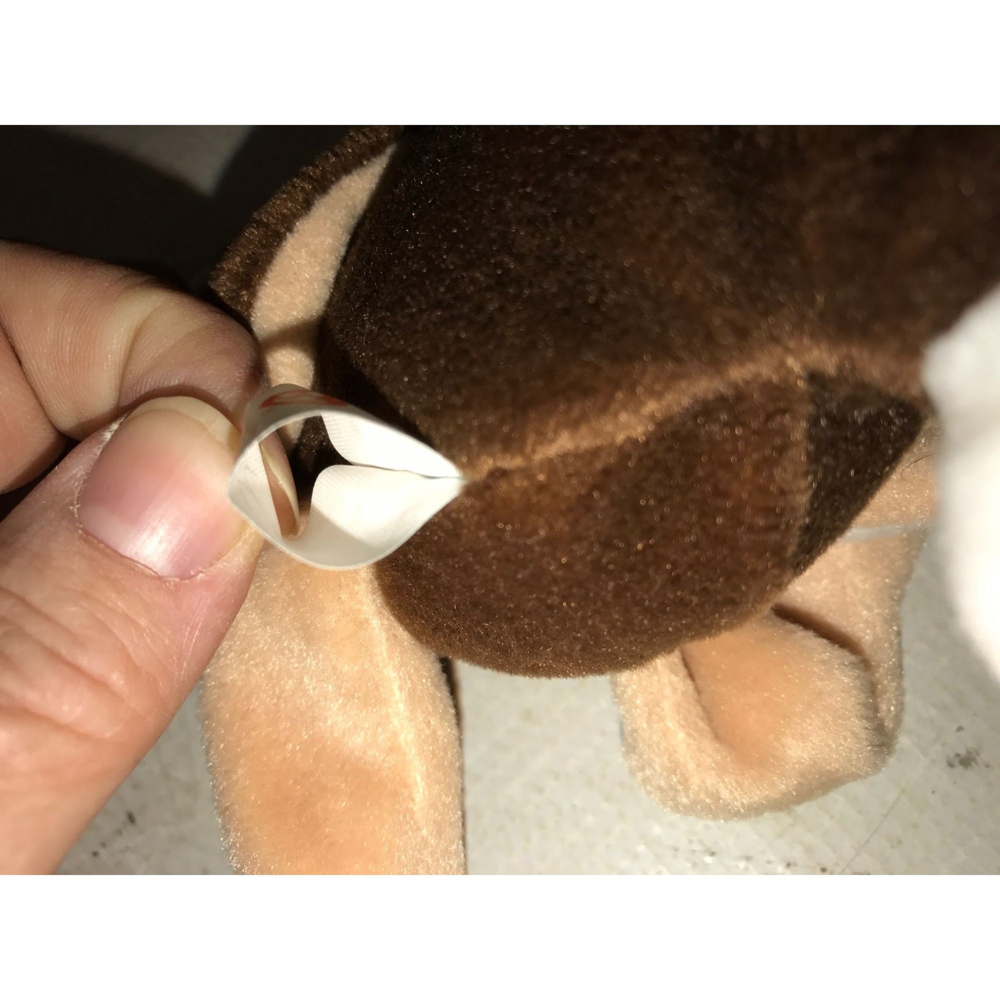 1997 Stretch the Ostritch Beanie Baby TY Beanie Baby  A+ Stuff Plush Toys / Stuffed Animals